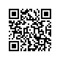 11115-32C71 Guide, Valve (os:0.3) (opt)