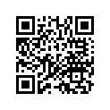 11335-ML7-300 RUBBER A, R.