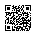 11377 ORING