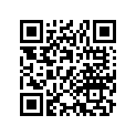 11394-417-306 Gasket