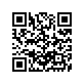 11400-90804 GASKETSET