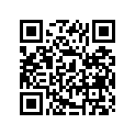 11532-46E00 .jet, Oil Gallery (gs500f)