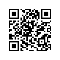 11613-33C00 NUT
