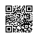 11691-028-306 Gasket