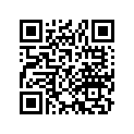 11691-323-306 Gasket