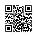 11831-ZW1-000 RUBBER,SEAL