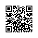 11831-ZW5-000 RUBBER,SEAL