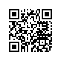 11H-11633-00-00 Палец Поршневой