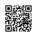 11H-13455-00-00 PLUG