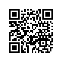 11H-15138-00-00 Форсунка Карбюратора