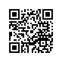 11H-25919-00-00 . Support, Pad