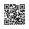 12053-1268 GUIDE-CHAIN,RR,OUTSID