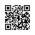 120530004 Guide-chain, Short