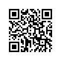 120530082 Направляющая цепи