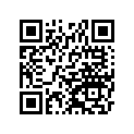 120530158 НАПРАВЛЯЮЩАЯ ЦЕПИ, ПЛАСТИК