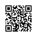 120531358 Guide-chain, Cam