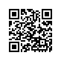 120531382 Guide-chain