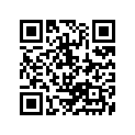 12100-87J03-050 PISTONSET(OS/