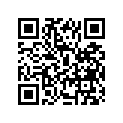 12110-01C13-0F0 Piston