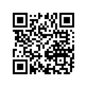 12110-40B01-0F0 Piston
