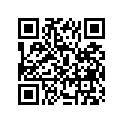 12111-02C01-0F0 PISTON