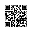 12111-05202-0F0 Поршень
