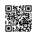 12111-05G01-0F0 Piston