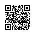 12111-12D09-0F0 Piston