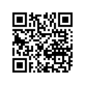12111-14D01-0F0 Piston
