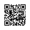 12111-27E01-0F0 Piston