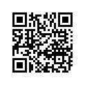 12111-27E10-0F0 Piston