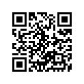 12111-44100-050 Piston (os:0.5)