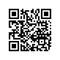 12111-46E06-0F0 Piston