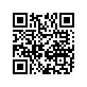 12111-91J01-0B0 PISTON