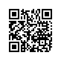 12111-95J00-0B0 Piston