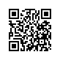 12115-300-000 GASKET