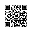 12140-95320-050 RINGSET,OS:0