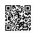 12141-37E02 .ring, Piston