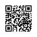122-23411-00-00 Race, Ball 1