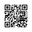 12204-HL4-305 GUIDE, VALVE (OS)