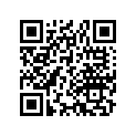 12231-413-305 GUIDE, VALVE