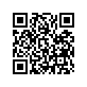 12251-MEW-921 GASKET, CYL HD