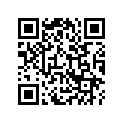 12313-MZ5-000 RUBBER,B