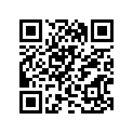 12670-96J00 CHAINCOMP,BALA
