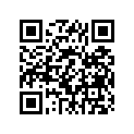 127-14124-20-00 SCREW, ADJUSTING