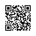 12864-38B01 O RING