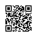 12880-38B01 ARM,VLV RCKR RR