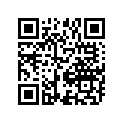 12892-41C00-298 Shim, Tappet 2.9