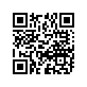 12892-45019 SHIM, TAPPET