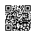 12892-73G01-250 12892-65H00-250-SHIM,TAPPETT:2